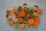 Mini Fall themed cookies (24 cookies)