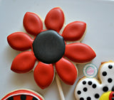 Ladybug Birthday Set (24 cookies)
