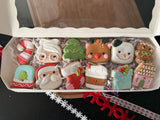 Santa fun! (12 mini cookies)