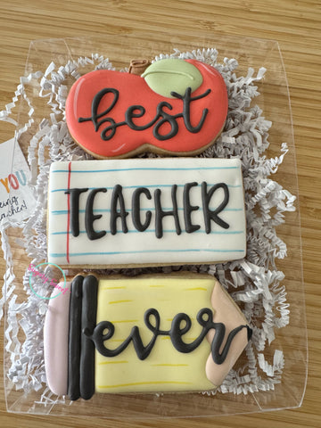 3 piece Best teacher ever!