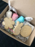 Do it Yourself Cookie Kits-Spring!