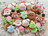Santa fun! (24 mini cookies)